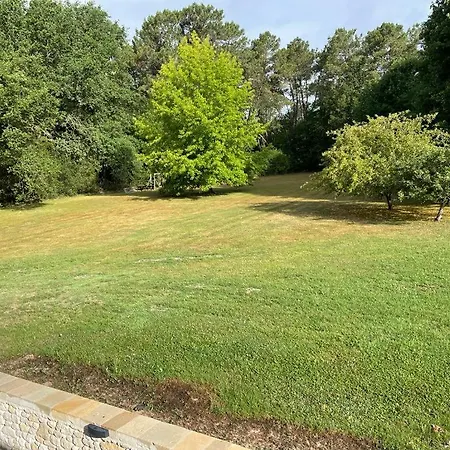 Les Grandes Vignes De Litout * Minzac